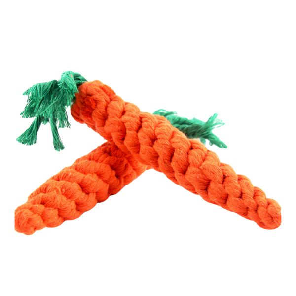 Karo die Karotte
