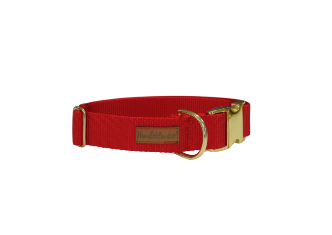 Halsband Basic Rot GOLD