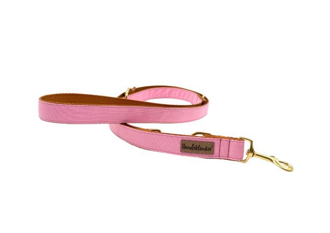 Leine Pink 2m