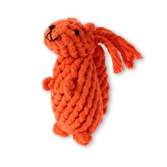 Svante das Eichhörnchen