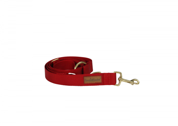 Leine Basic Rot GOLD