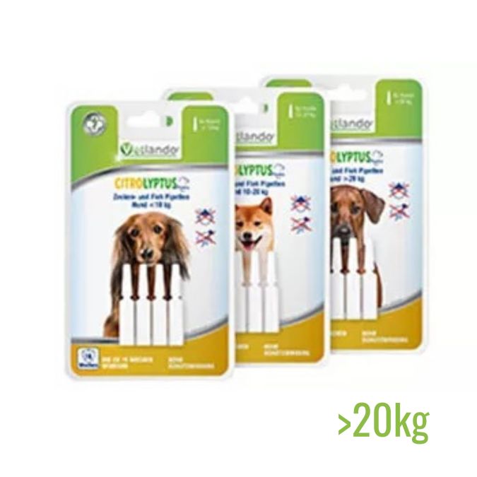 Zecken- und Floh Pipette Hund >20kg