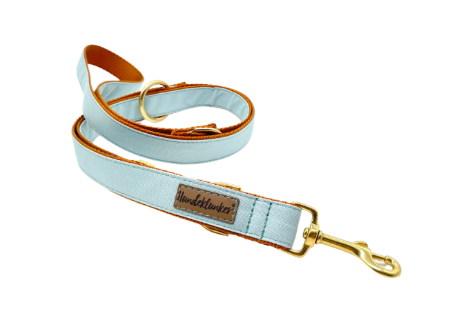 Leine Hellblau 2m