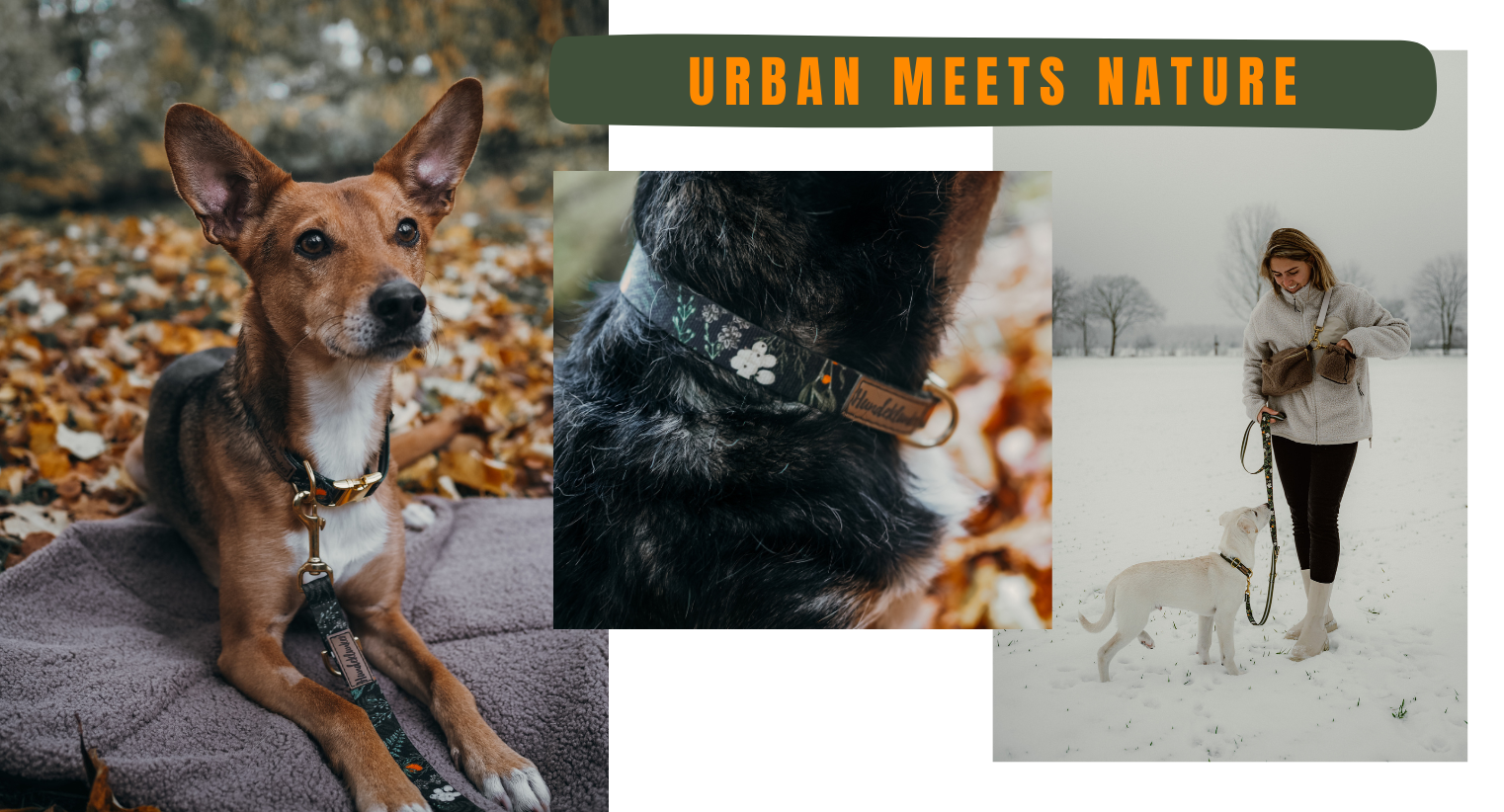 Urban-meets-Nature_Banner