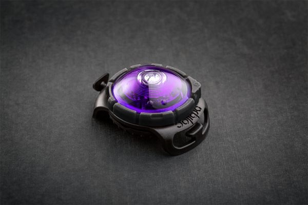 Orbiloc Sicherheitsleuchte Purple