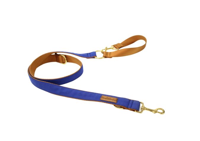 City-Leine Benji Blue