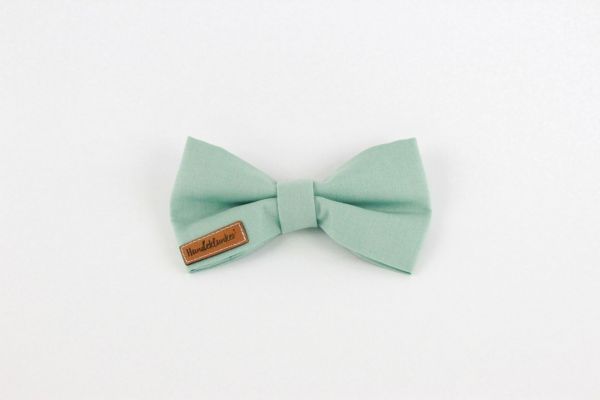 Fliege Monsieur Mint