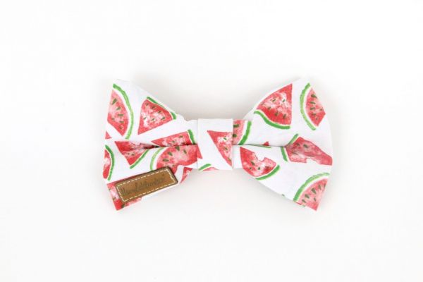 Fliege Melonen