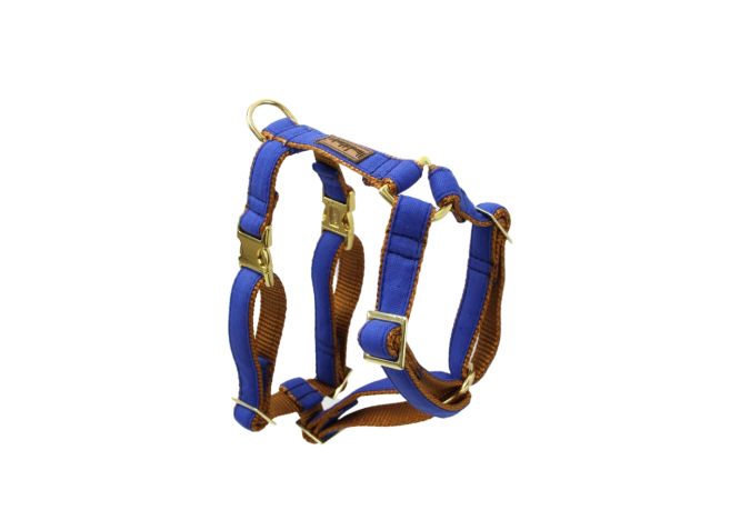Geschirr Benji Blue