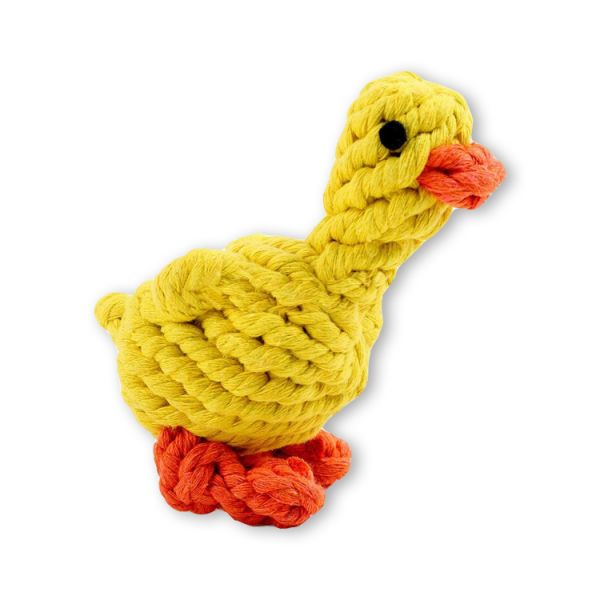 Didrik die Ente