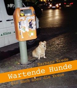 Wartende Hunde