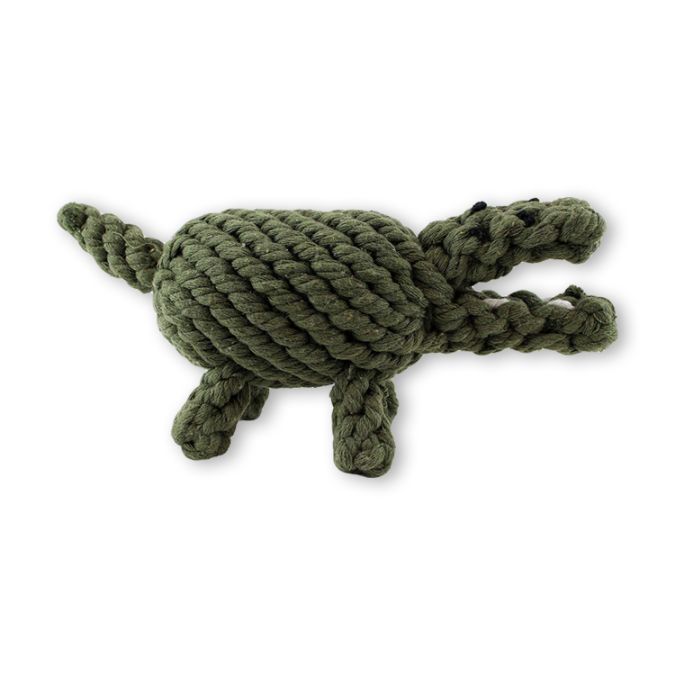 Crocodile